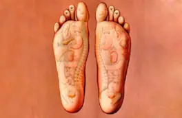 Reflexología: Bienestar desde tus pies – zona tratada
